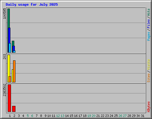 Daily usage for July 2025