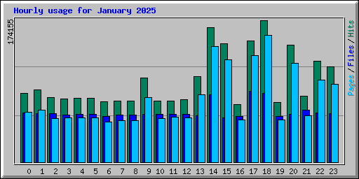 Hourly usage for January 2025