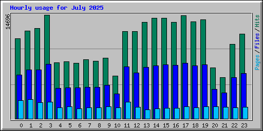 Hourly usage for July 2025