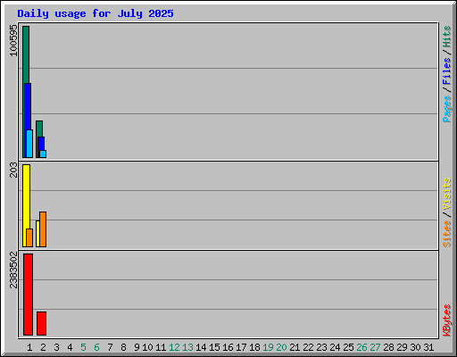 Daily usage for July 2025