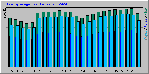 Hourly usage for December 2020