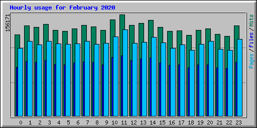 Hourly usage for February 2020