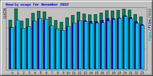Hourly usage for November 2022