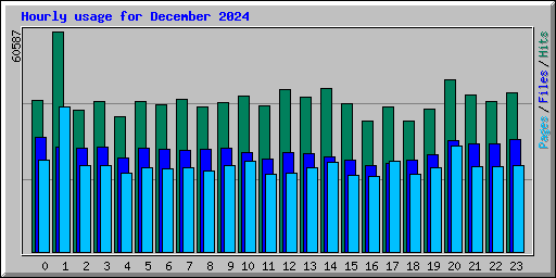 Hourly usage for December 2024