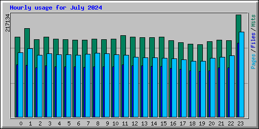 Hourly usage for July 2024