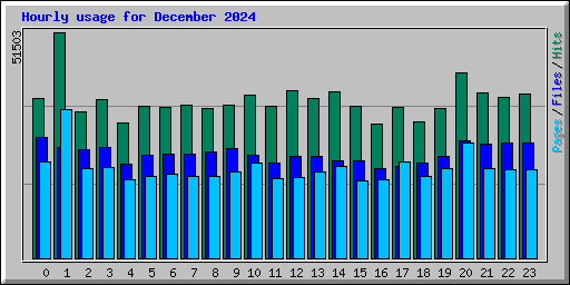 Hourly usage for December 2024