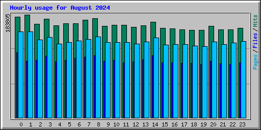 Hourly usage for August 2024